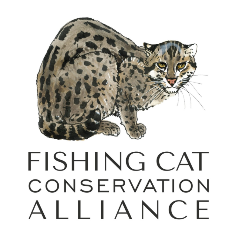 Fishing Cat Conservation Alliance