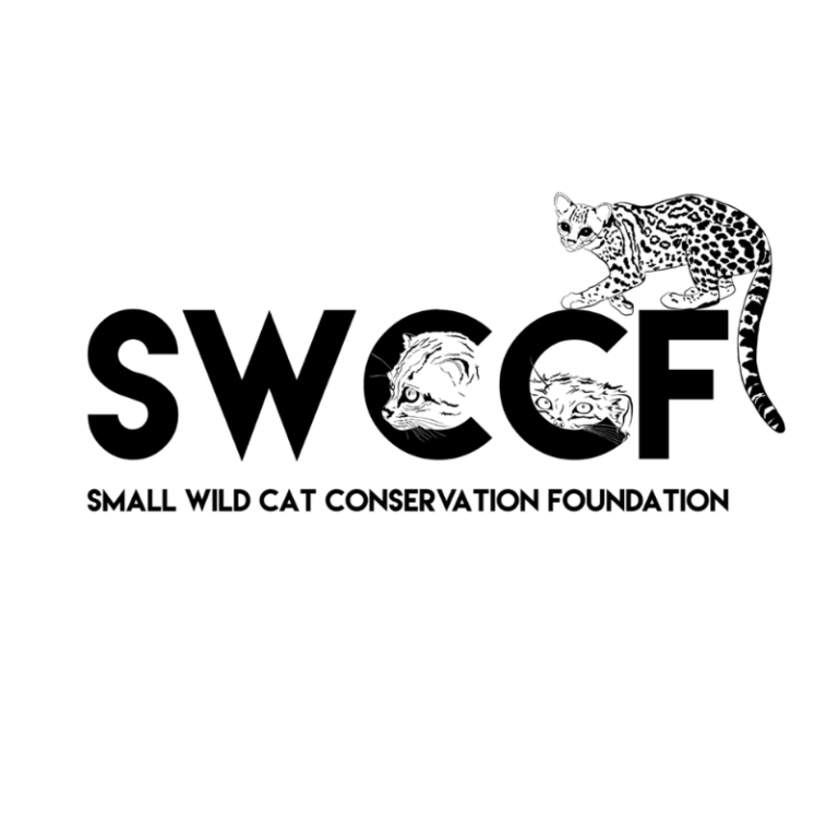 Small Wild Cat Conservation Foundation