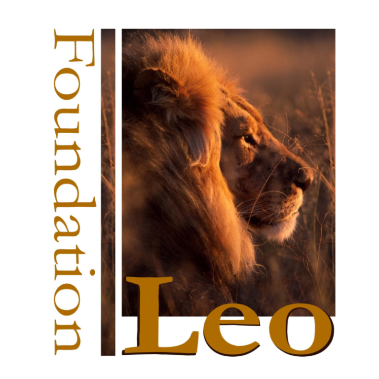 Leo Foundation