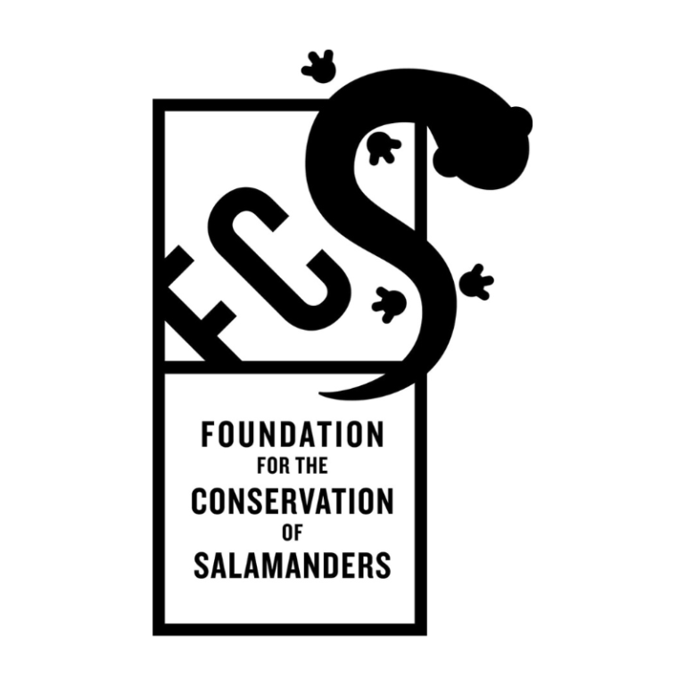Foundation for the Conservation of Salamanders